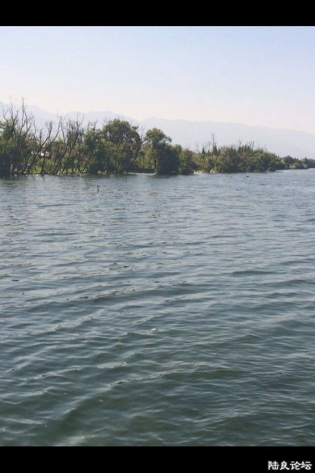 ��ɣ����