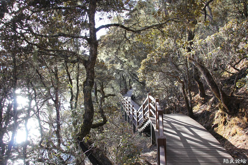 psbCAP8QR44 - ���� - ����.jpg