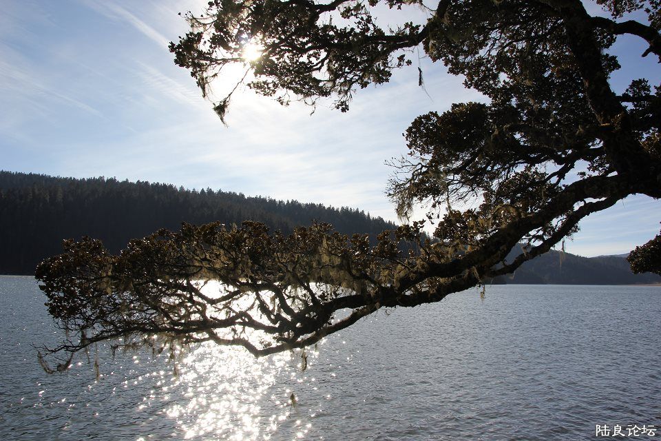 psbCAY0FF4J - ���� - ����.jpg