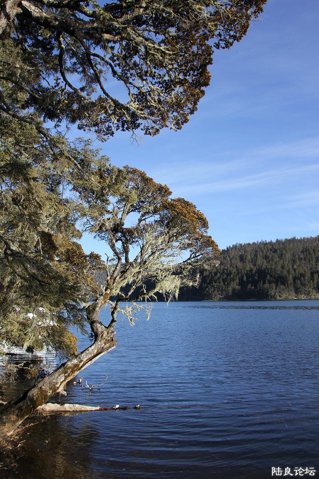 psbCAXSD97J - ���� - ����.jpg