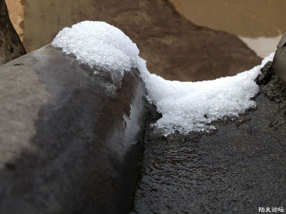 ȥ��ĵ�һ��ѩ����һ·�˲��г�����Ĵ�����~