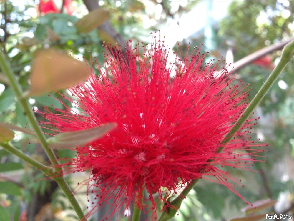 ����˲��ý�ʲô��ë�����ģ��ֺÿ�