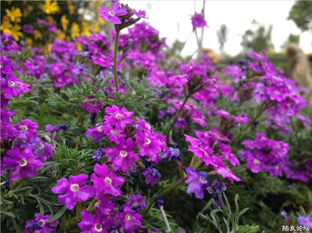 ��ϲ����������ͣ���о����Ͳʻ�һ��~