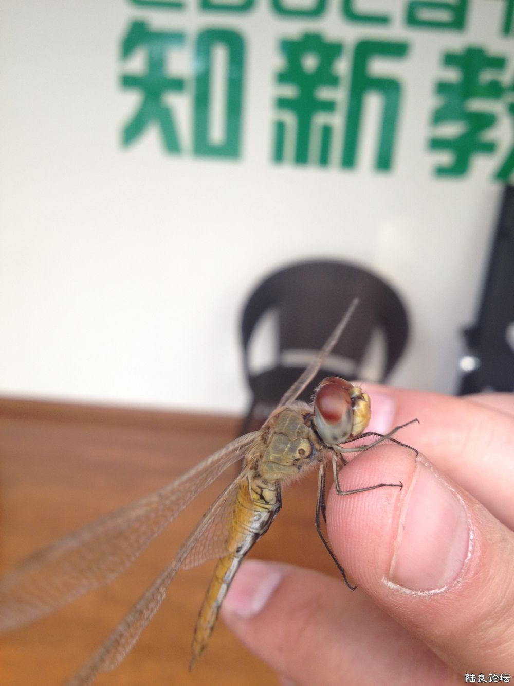 ��˵�С����~