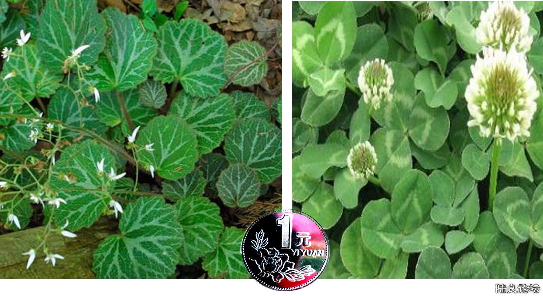 δ����-1 ����.jpg