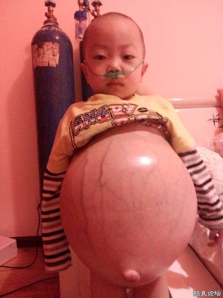 �����Ա���������ʹ�࣬���Σ����Ƕ������Ŀ���