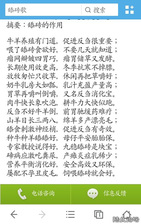 ��ש����