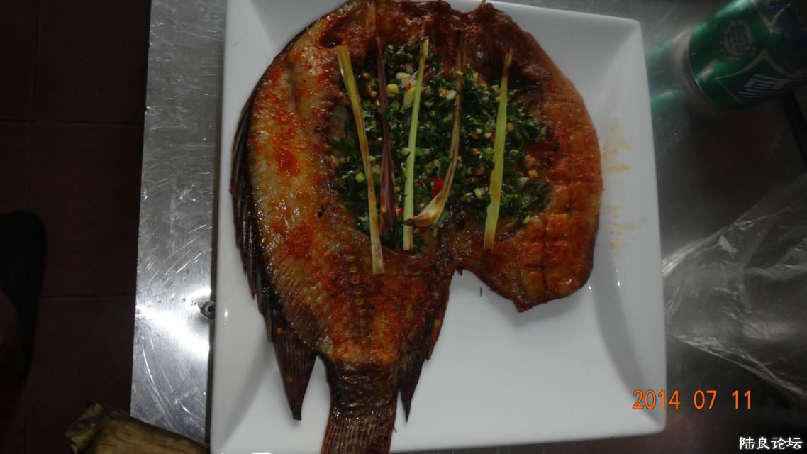 ��é�ݿ���