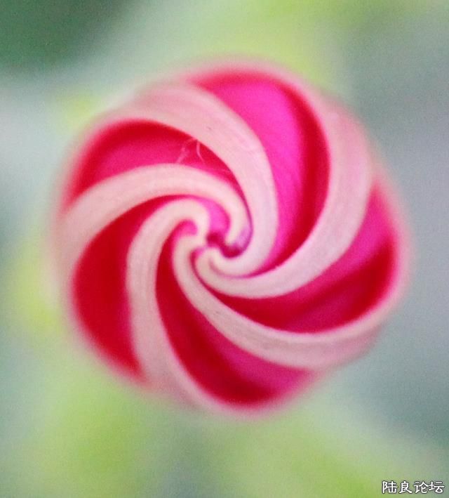 �²�����ʲô��