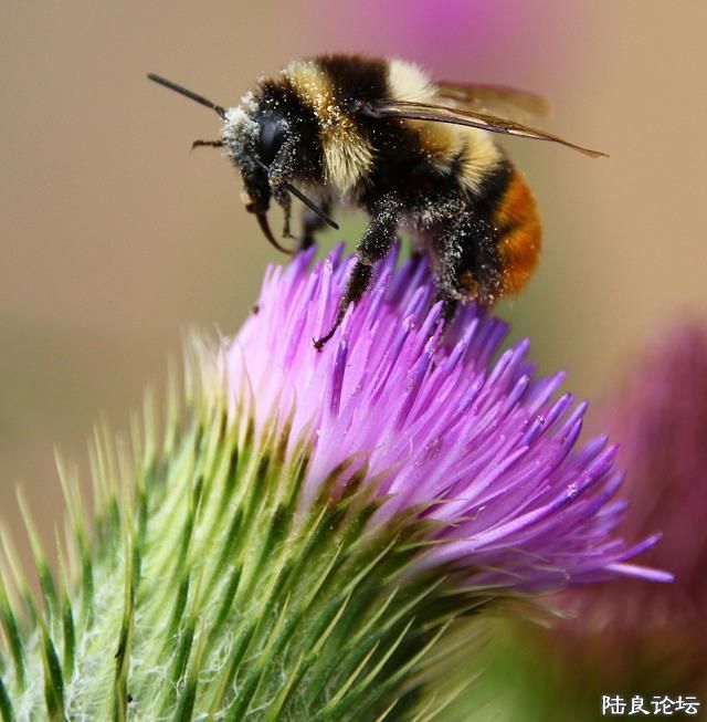 ��ȡ����