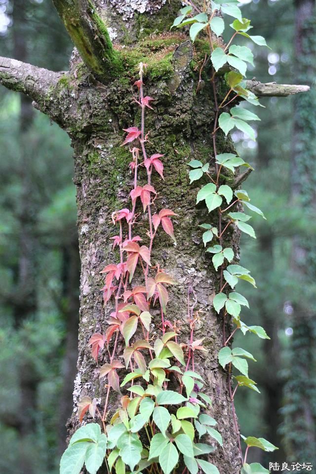 �����ҵ�����