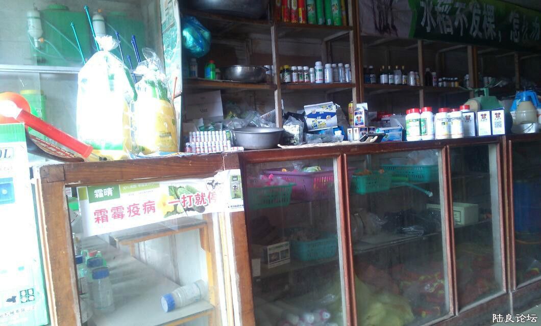 1995�꾭Ӫ֮��