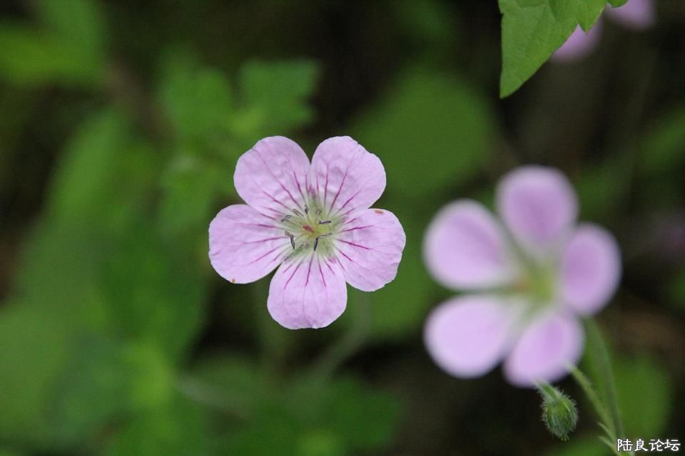 ����ͬ��