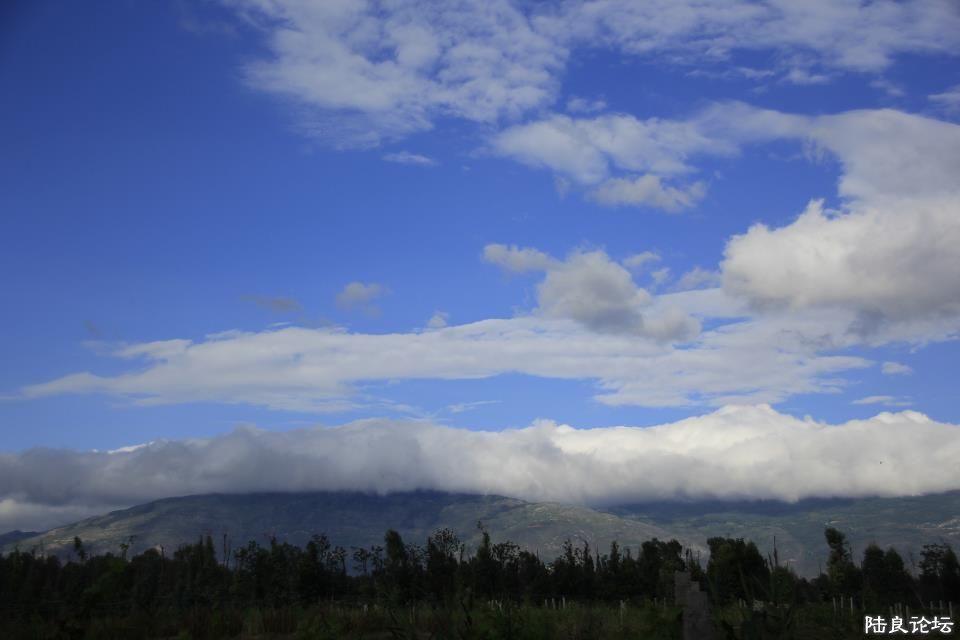 �Ƹ�����