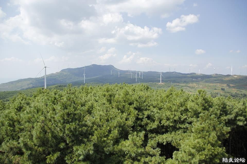 ������̬