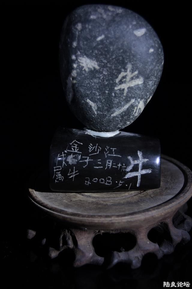 ��ɳ���߼񵽵ġ�ţ��������Ҳ�ǡ�ţ���