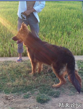 ��ȥɢ����