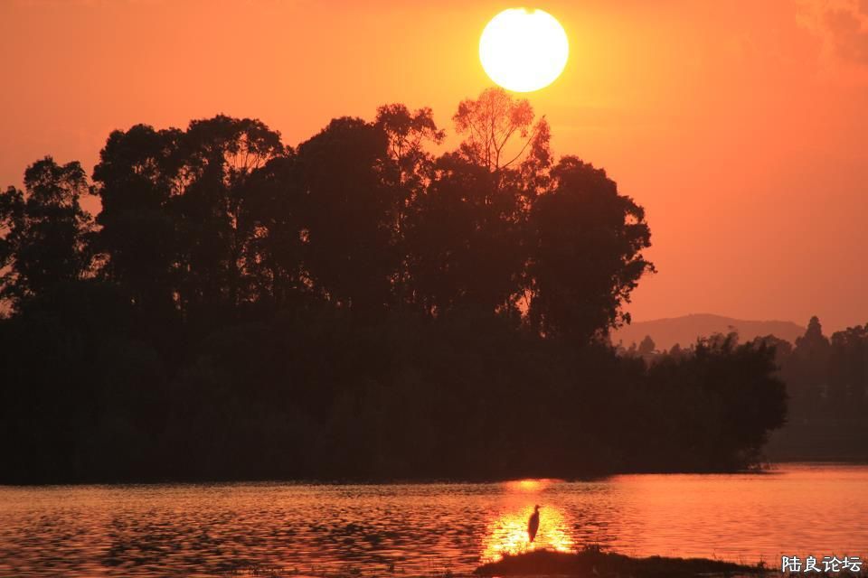 Ϧ���µ�����