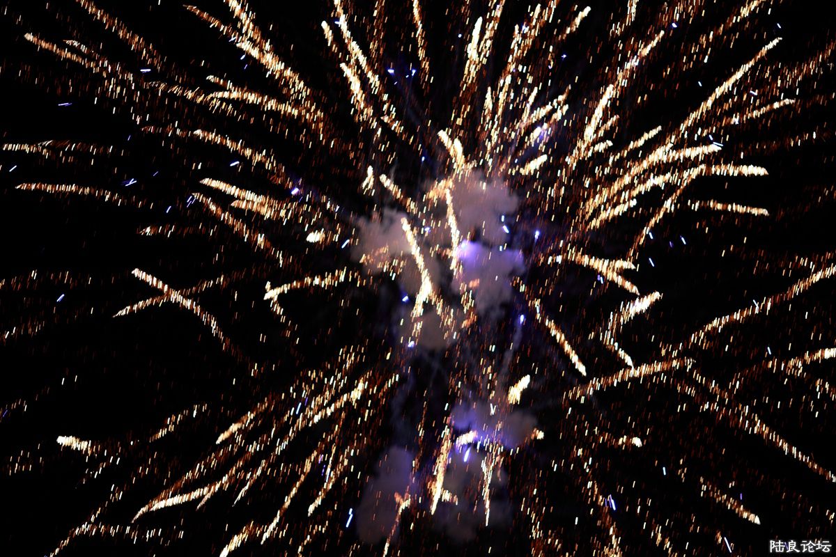 ���г��ѻ�2014��� (23).jpg