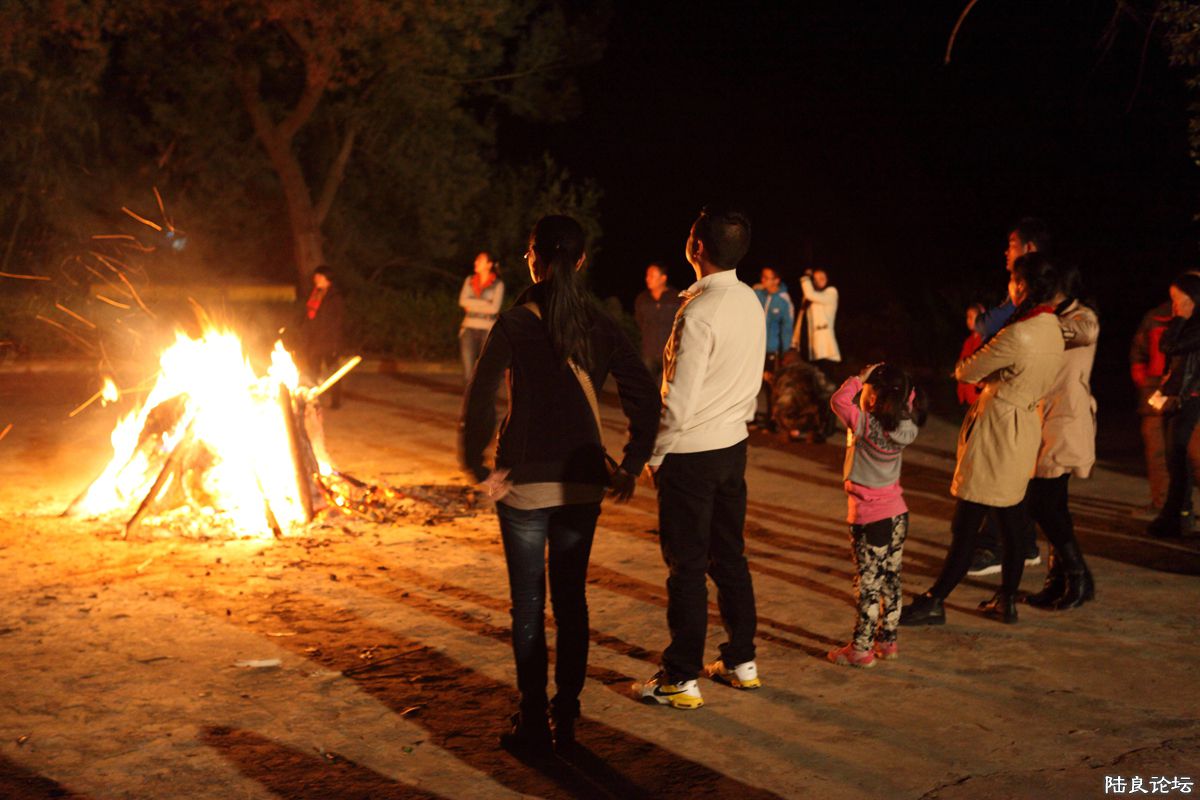 ���г��ѻ�2014��� (28).jpg