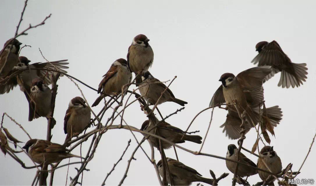 psb (6) - ����.jpg