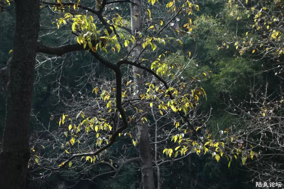 ����վ��������