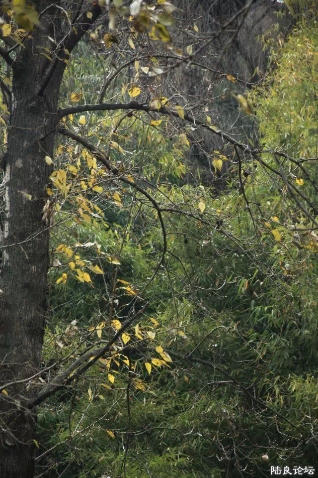 ����վ��������