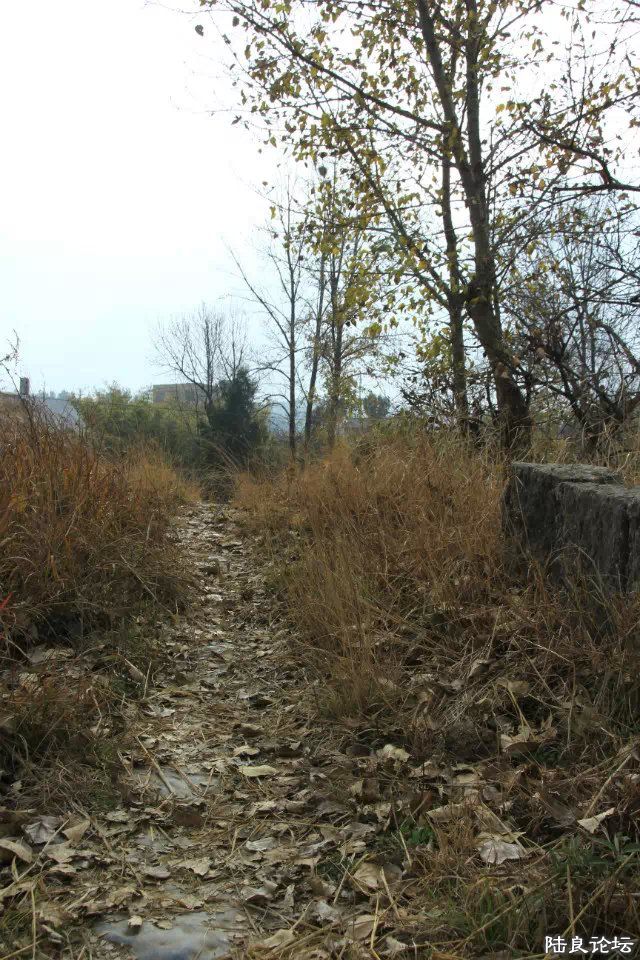 �ϱ��ĸ���֮·