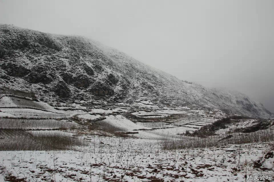 1 - ����.jpg