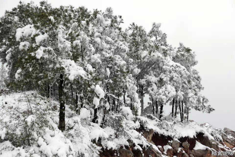 psb (1) - ����.jpg