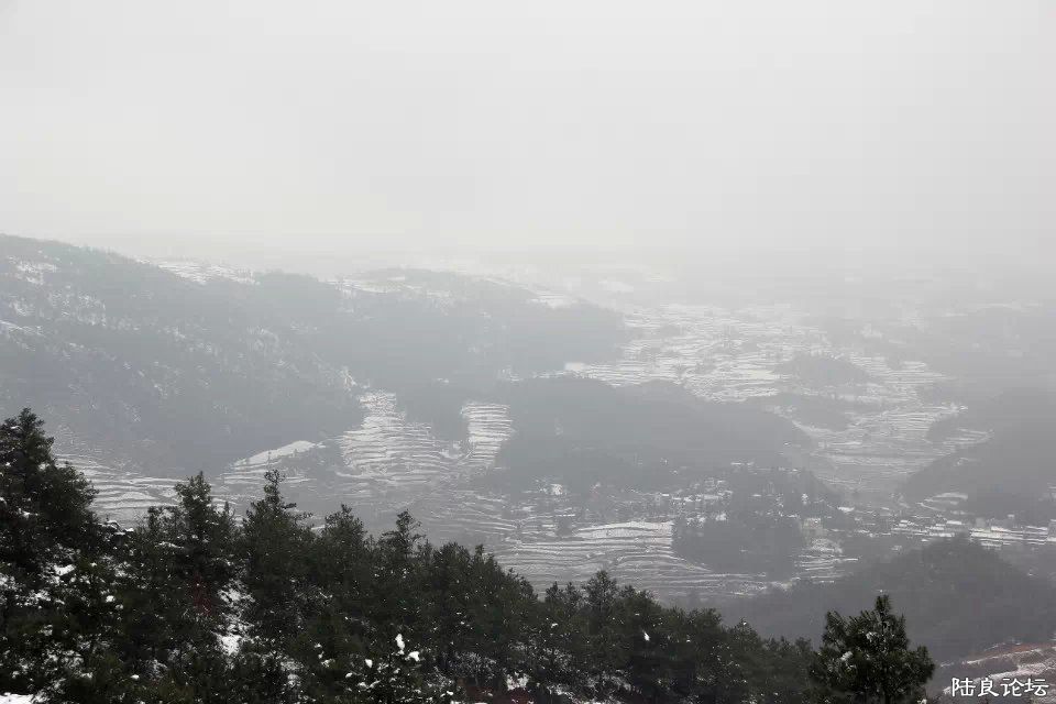 psb (3) - ����.jpg