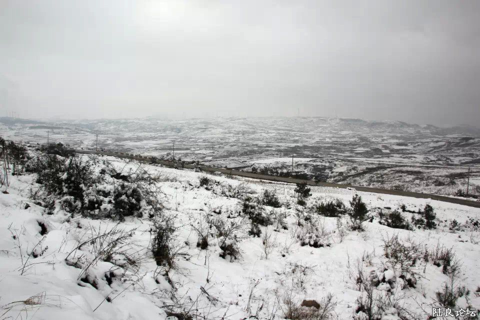 psb (6) - ����.jpg