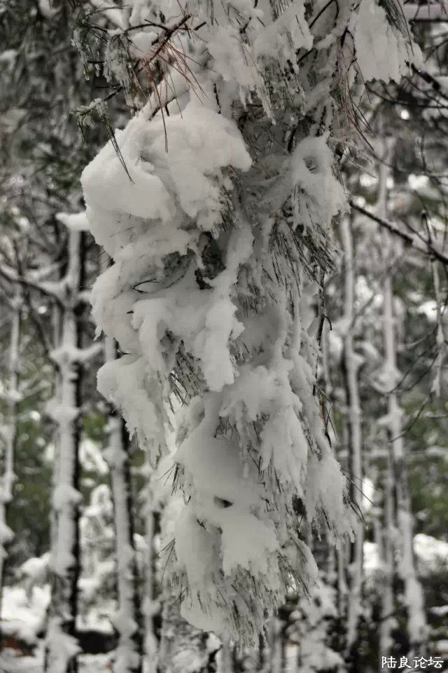 psb (9) - ����.jpg