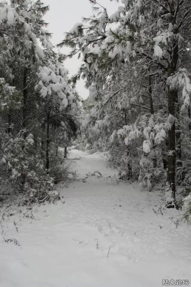 psb (13) - ����.jpg