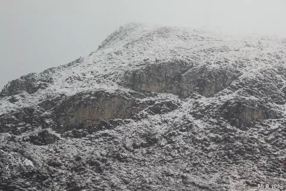 psb (16) - ����.jpg