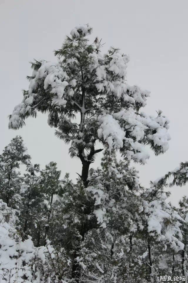 psb (18) - ����.jpg