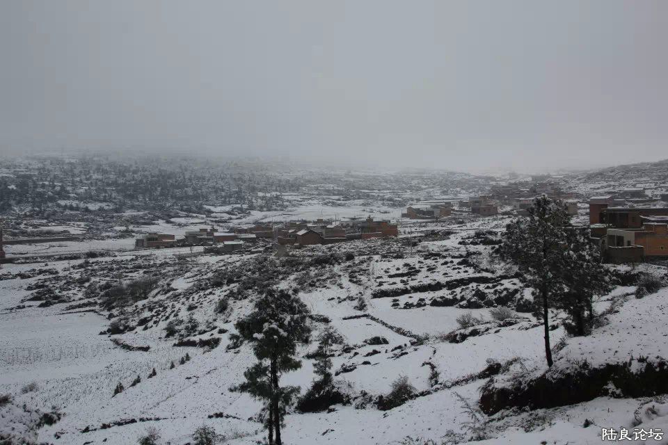 psb (20) - ����.jpg