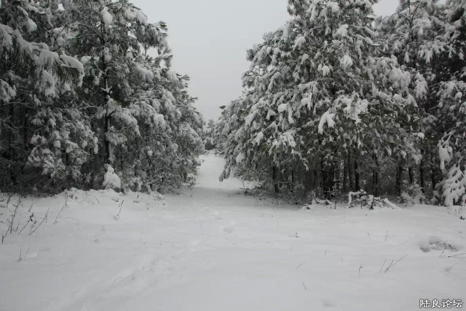 psb (24) - ����.jpg