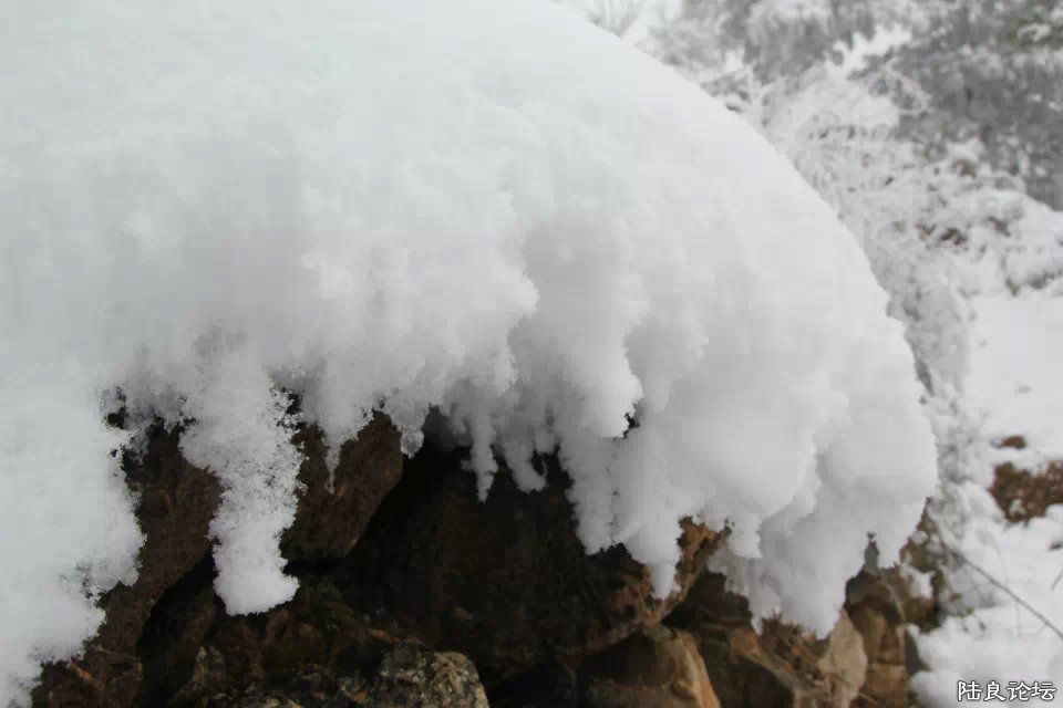 psb (26) - ����.jpg