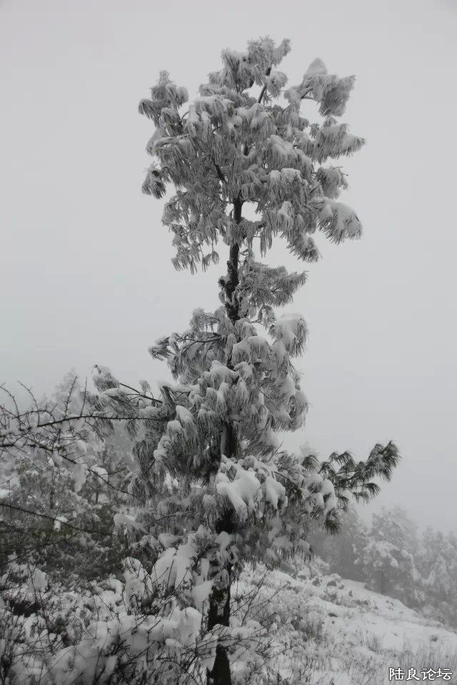 psb (28) - ����.jpg