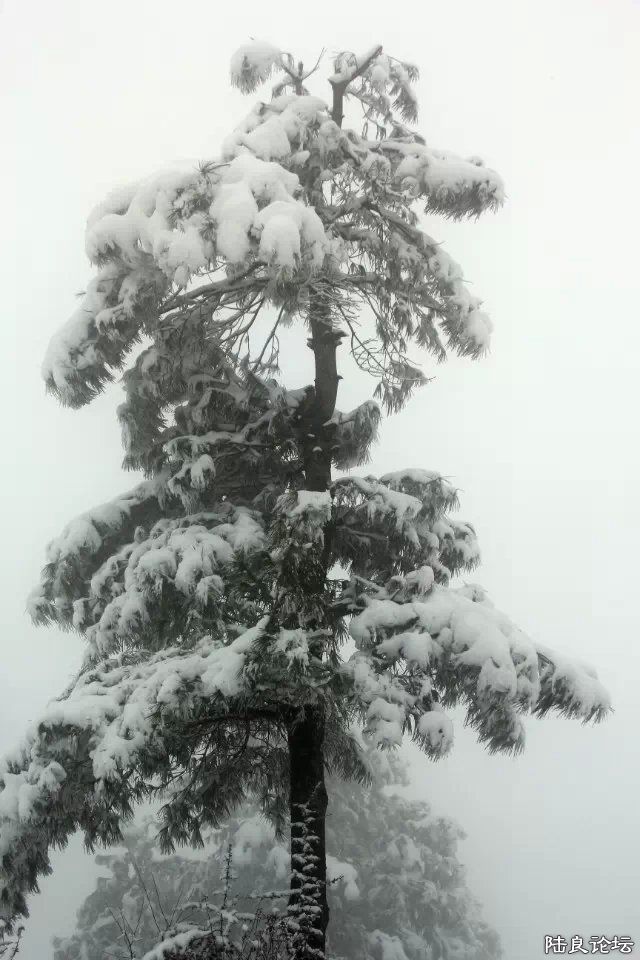 psb (32) - ����.jpg