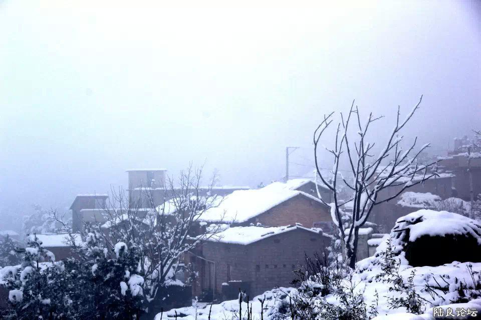 psb (34) - ����.jpg