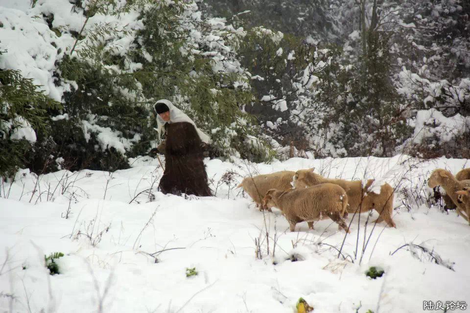 psb (36) - ����.jpg