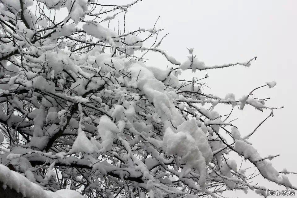 psb (40) - ����.jpg