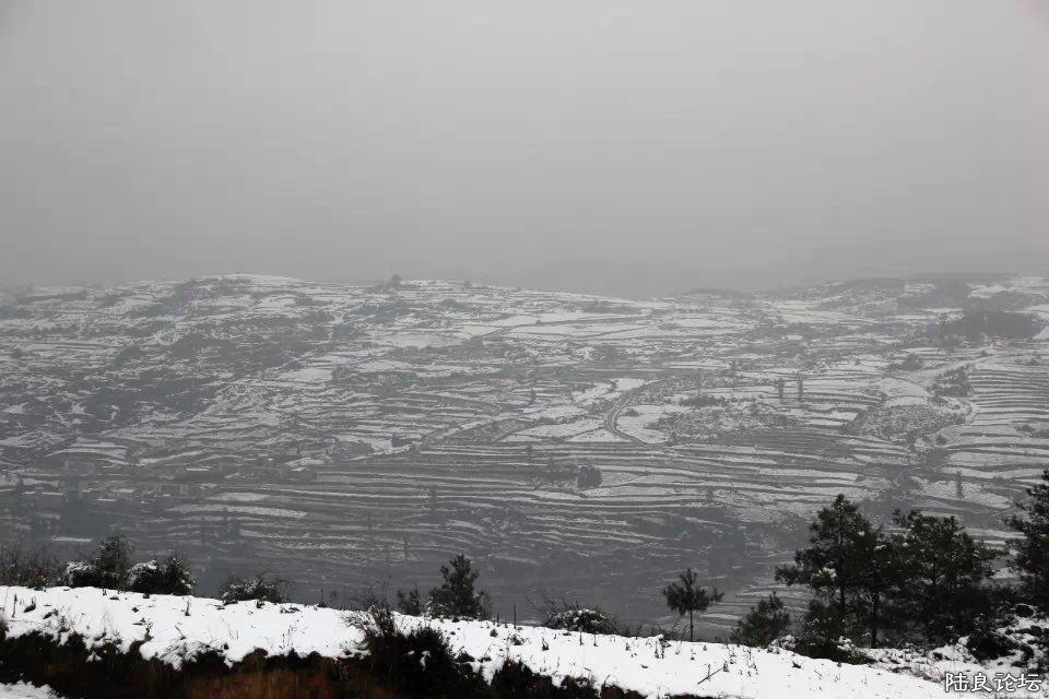 psb (2) - ����.jpg