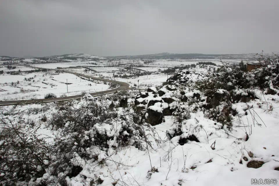 psb (5) - ����.jpg