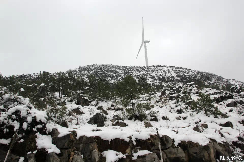 psb (7) - ����.jpg