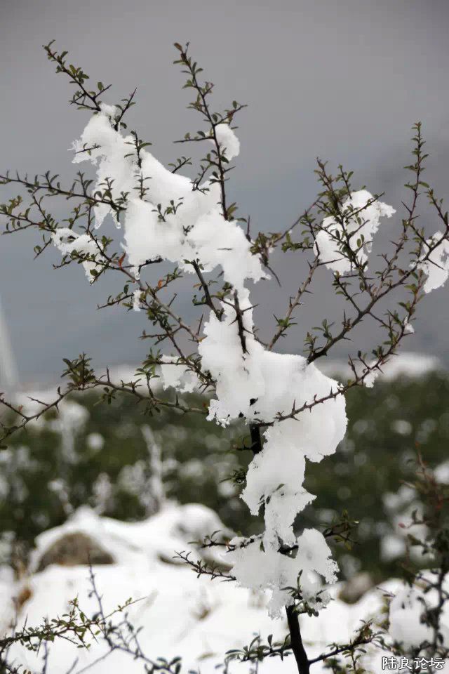 psb (12) - ����.jpg