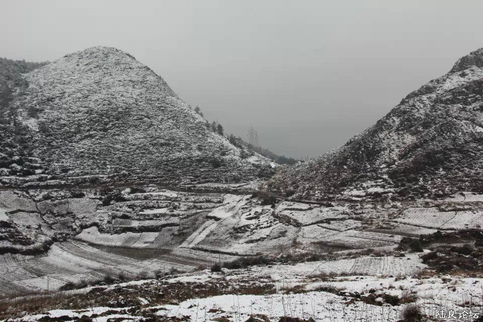 psb (17) - ����.jpg