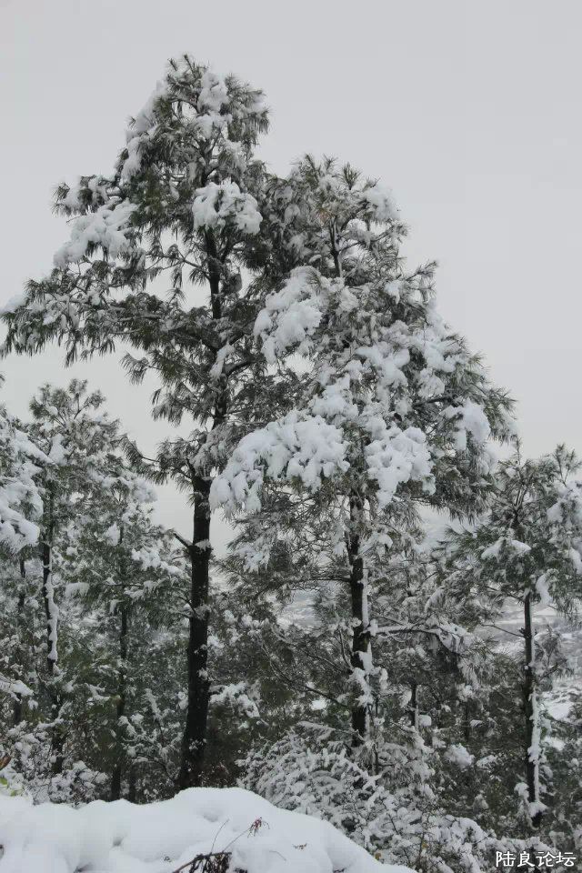 psb (19) - ����.jpg